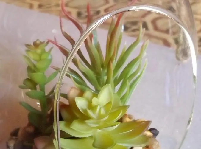 ゲストハウス Squadron Base ルア