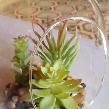 بيت ضيافة Squadron Base لوكا